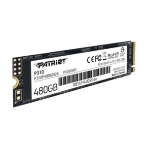 Patriot 480GB P310 VPN100